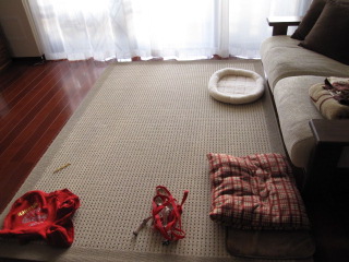 c0185516_2315968.jpg
