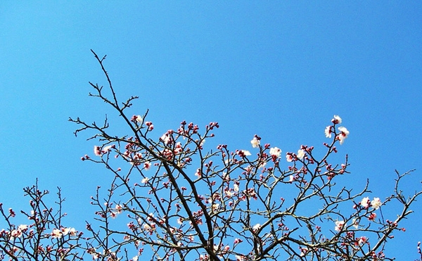 d0144618_2122117.jpg