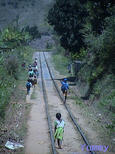 e0055023_2358353.jpg