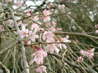 f0178726_21244834.jpg