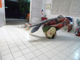 d0042827_23133993.jpg