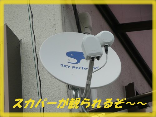 c0009528_22585789.jpg
