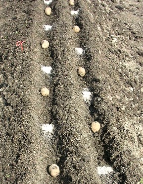 f0150629_0382710.jpg