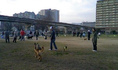 f0088731_14382121.jpg