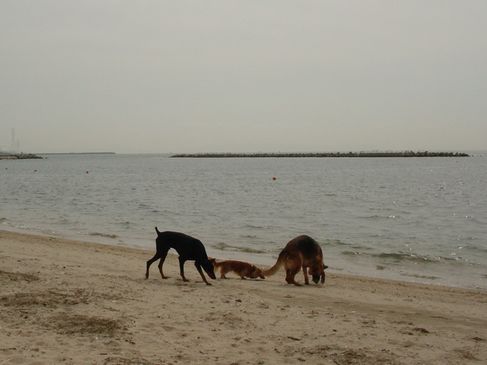 f0088731_15263942.jpg