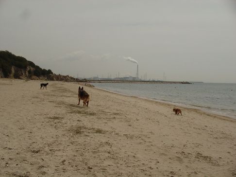 f0088731_15264752.jpg