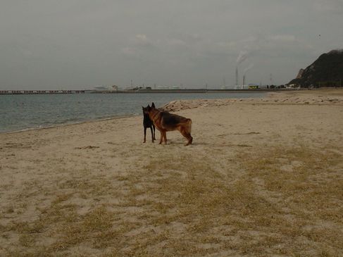 f0088731_15265478.jpg