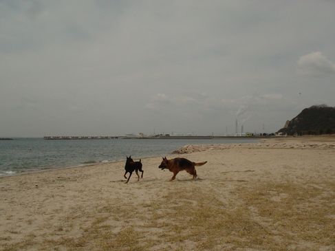 f0088731_1526593.jpg