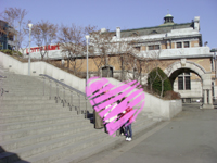 e0148432_16274594.jpg