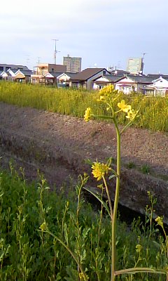 c0090534_22283298.jpg