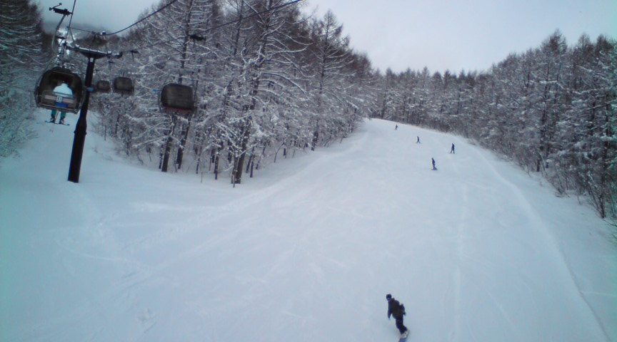 c0054838_84989.jpg