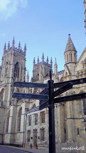 e0081339_227358.jpg