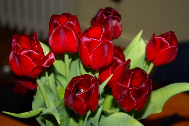c0153740_256767.jpg