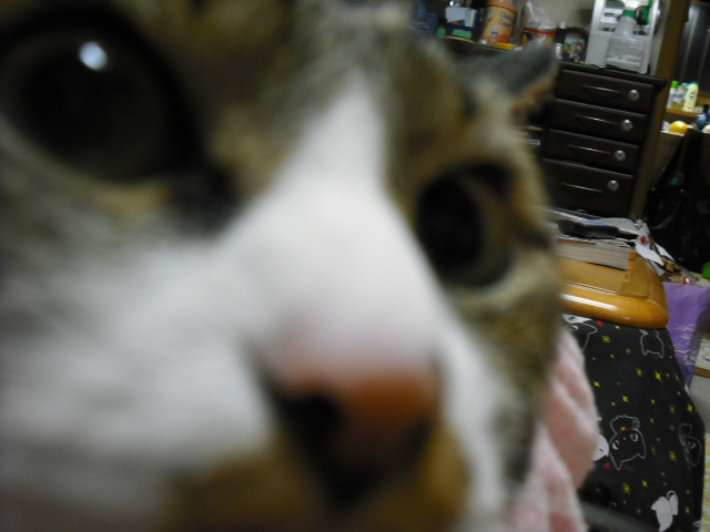 c0194042_21251474.jpg