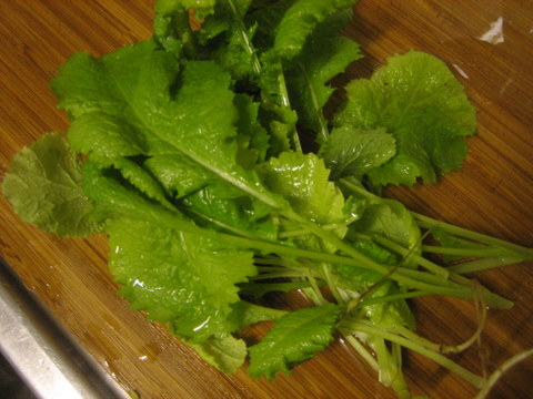 e0018143_1637175.jpg
