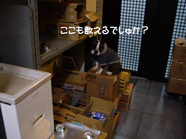 e0098547_2101245.jpg