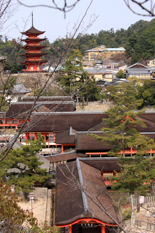 a0024250_23373871.jpg