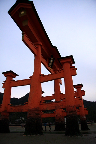 a0024250_2340777.jpg