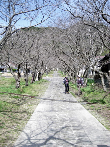 c0179351_21334565.jpg