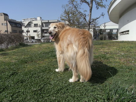 b0071654_10303419.jpg