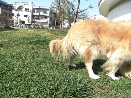 b0071654_10313174.jpg
