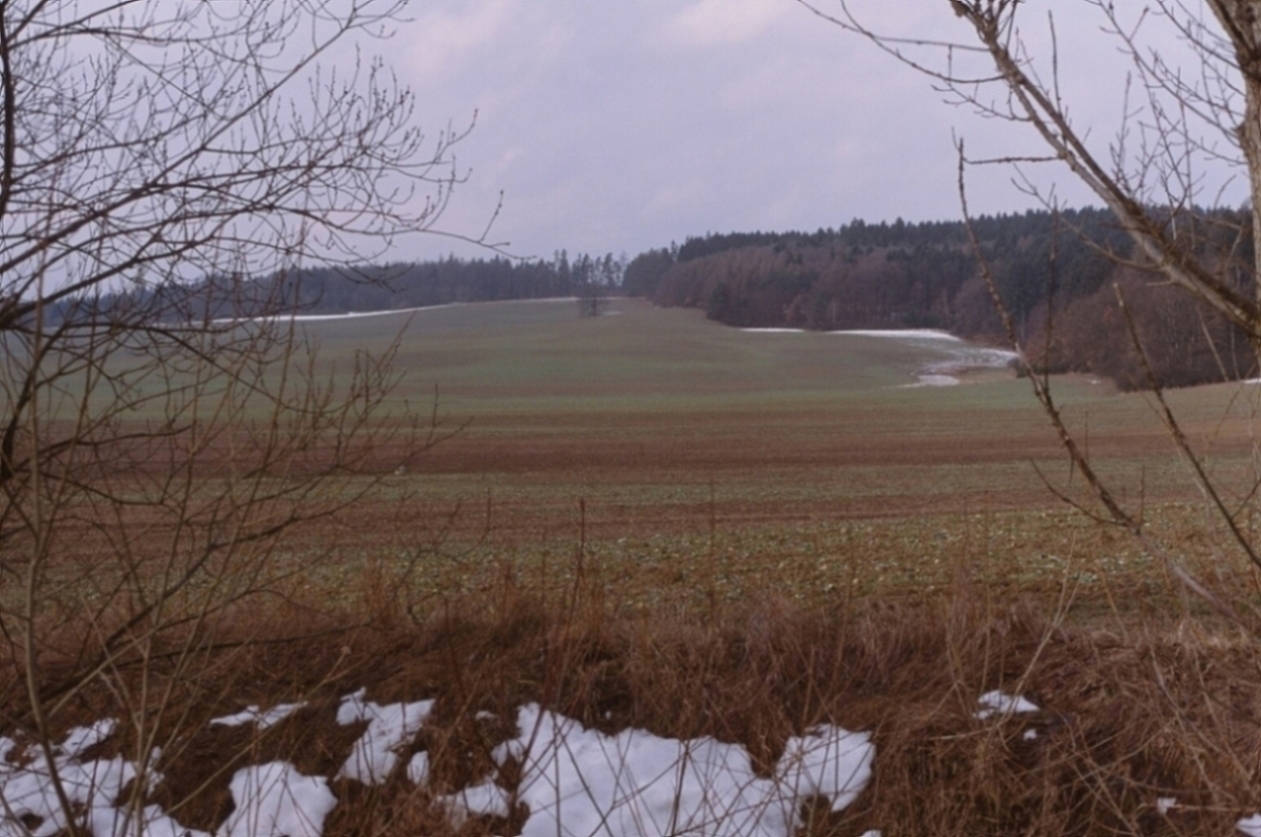 e0134658_4465375.jpg