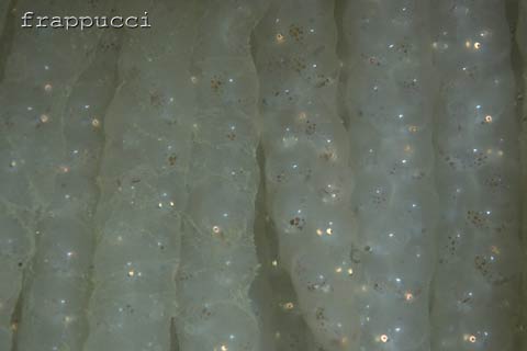 d0056263_132556.jpg