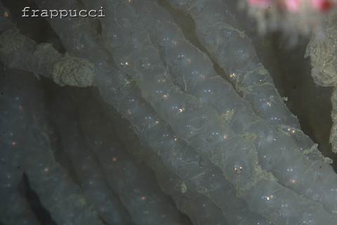 d0056263_1331591.jpg