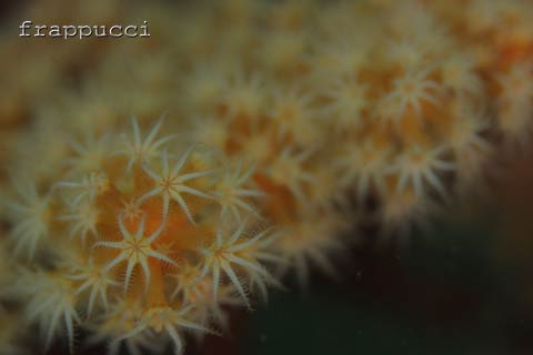 d0056263_1355045.jpg