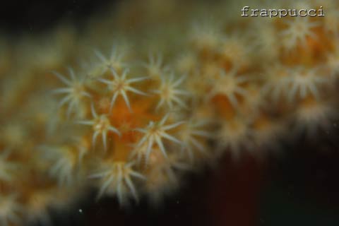 d0056263_145578.jpg