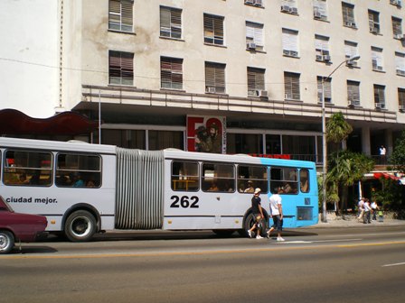 d0041268_2095910.jpg