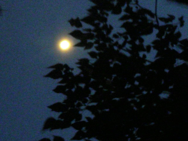 d0116870_8105030.jpg