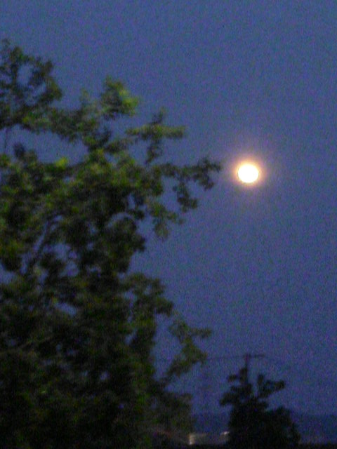 d0116870_893778.jpg
