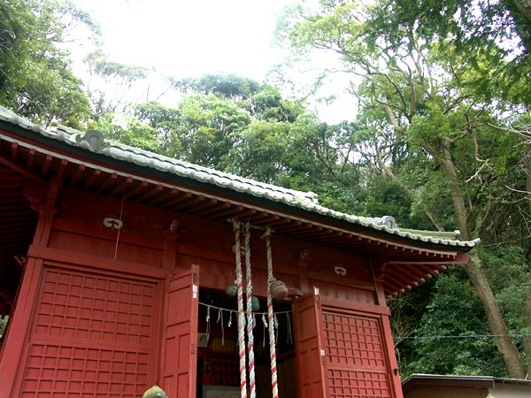 e0164571_1531348.jpg