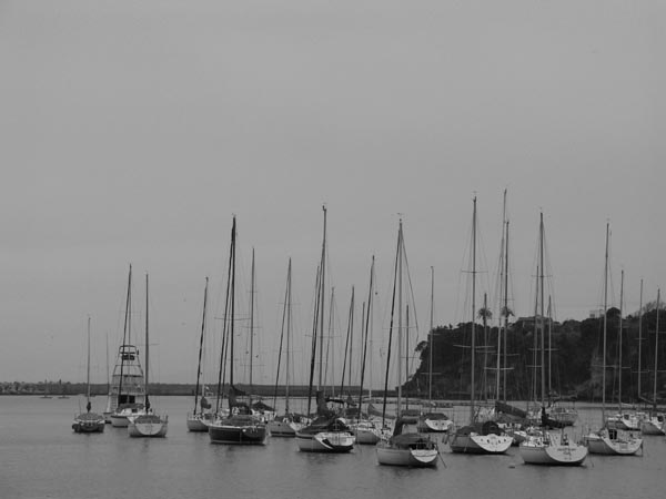 e0164571_15375874.jpg