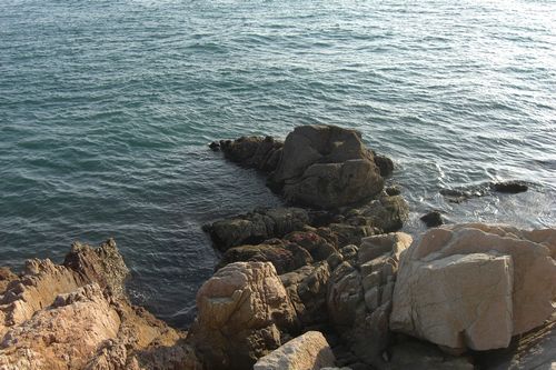e0165671_13283934.jpg