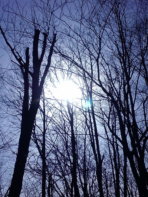 c0082573_1623549.jpg