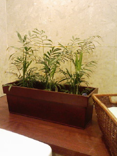 f0112873_0492177.jpg
