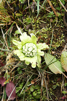 c0167576_751586.gif