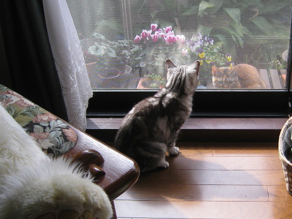 c0132387_044532.jpg