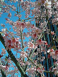 c0138198_2159551.jpg
