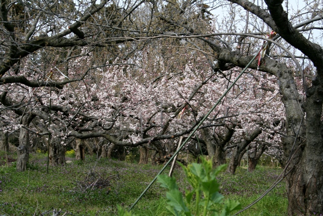 f0054904_17351360.jpg