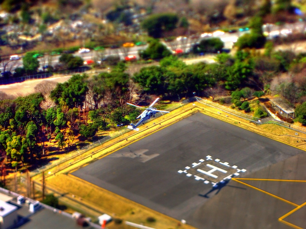 c0180505_2522819.jpg