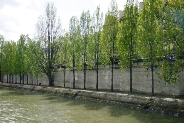 c0163006_9393414.jpg