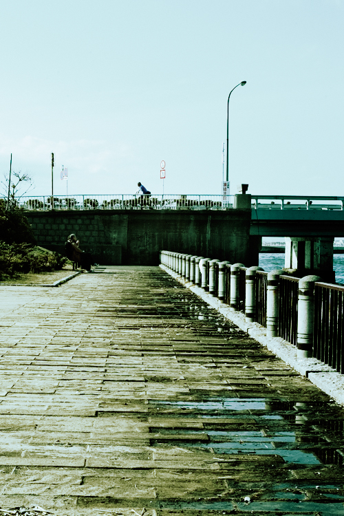 c0191707_155219.jpg