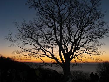 b0131214_1319454.jpg