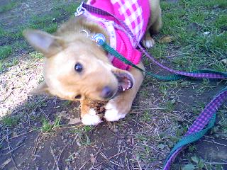 c0150520_0174545.jpg