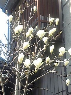 c0033521_13225499.jpg