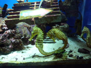 f0178622_16253319.jpg