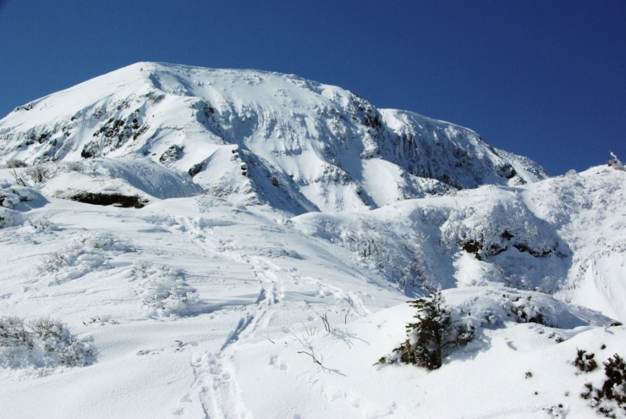 b0062024_21252277.jpg